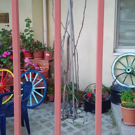 Hotel de apartamente Sunny 3*