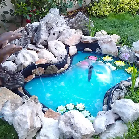 Hotel de apartamente Sunny 3*